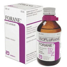 Forane (Isoflurane) 100ml 6 vials