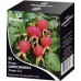 Rosehip Fruits 2g 20 packs