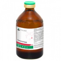 Amoxiguard (Amoxicillin) 100ml