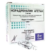 Noradrenaline (Norepinephrine)